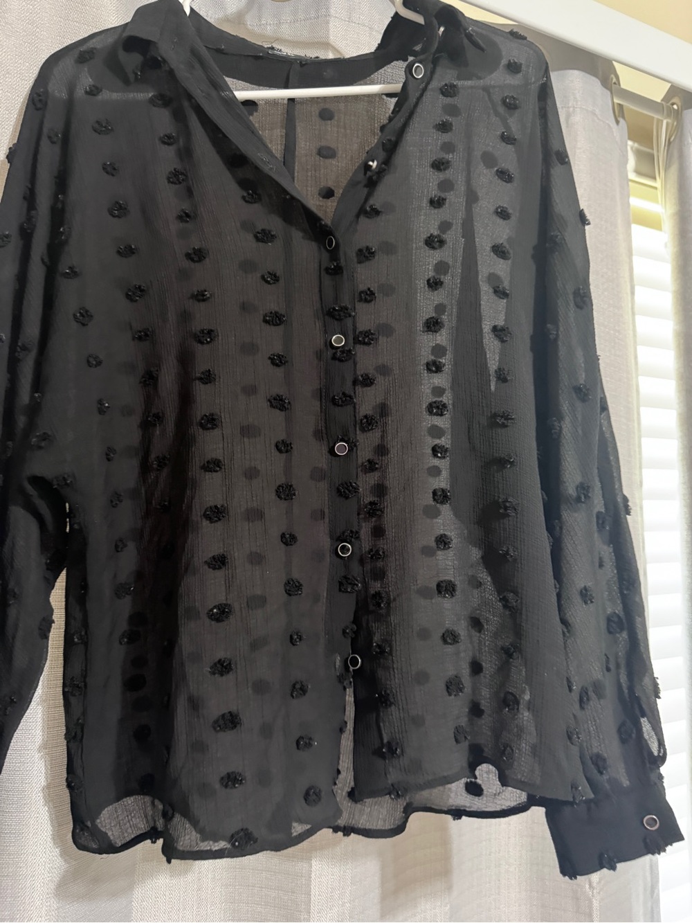 Zara Black Sheer Polka Dot Button-Up Top